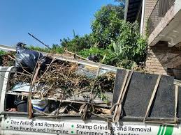 Shed Removal in Geneva, FL